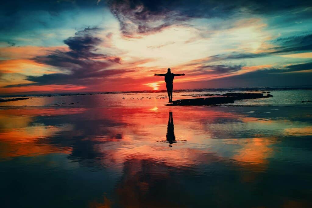 牛樟芝是來自台灣的珍稀國寶,為日常保健提供天然支持 Photo by Mohamed Nohassi on Unsplash