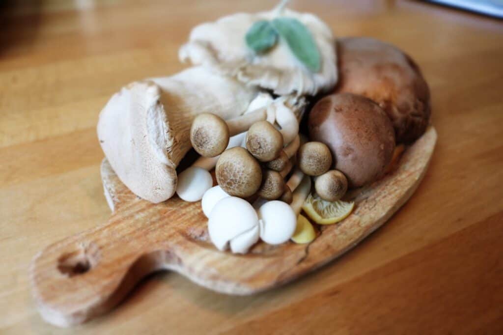 菌絲體的營養價值與健康功效 / 圖片來源:pexels