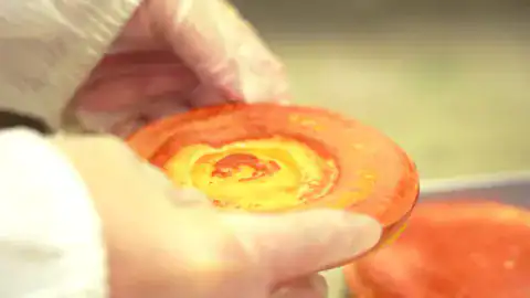 恩揚生技以獨家 KBA 技術培育高品質牛樟芝子實體 / 圖片來源:恩揚生技