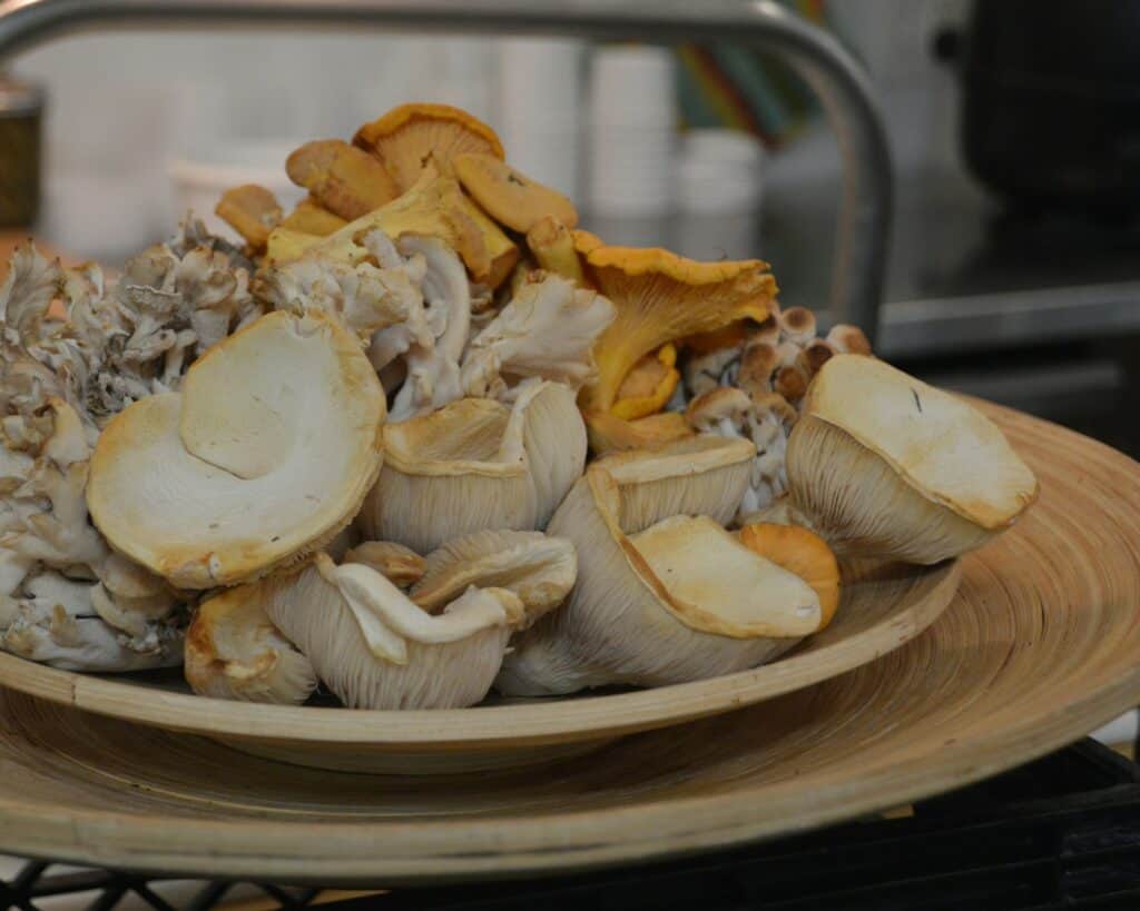 盤點多醣體食物有哪些 / Photo by Hannah W. on Unsplash