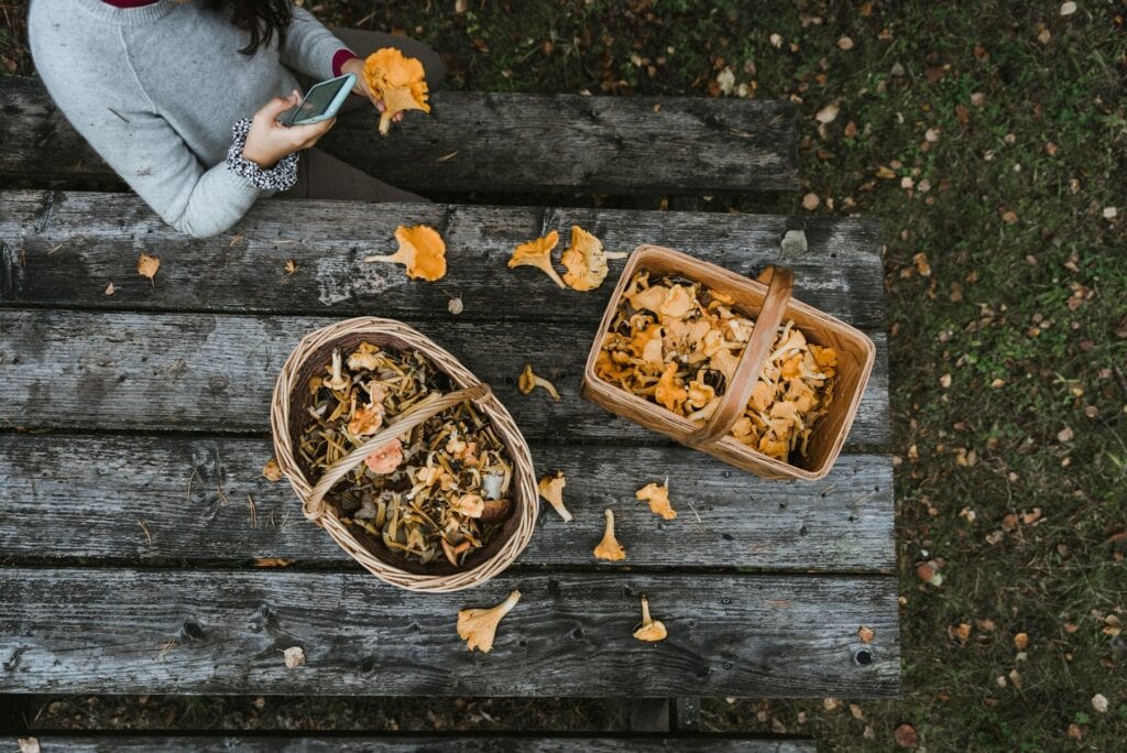生活中非常容易獲取多醣體食物帶來的健康益處 / Photo by Niklas Sagrén on Unsplash