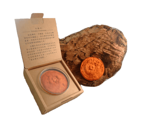 黃金樟芝原片 / 圖片來源:黃金樟芝原片禮盒