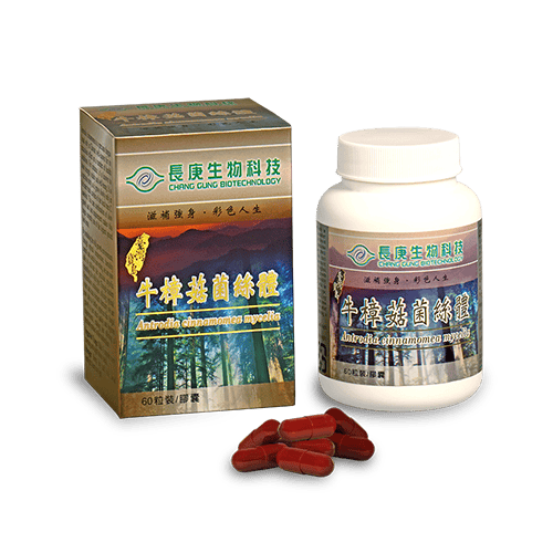寶島牛樟菇菌絲體膠囊 / 圖片來源:寶島牛樟菇菌絲體膠囊