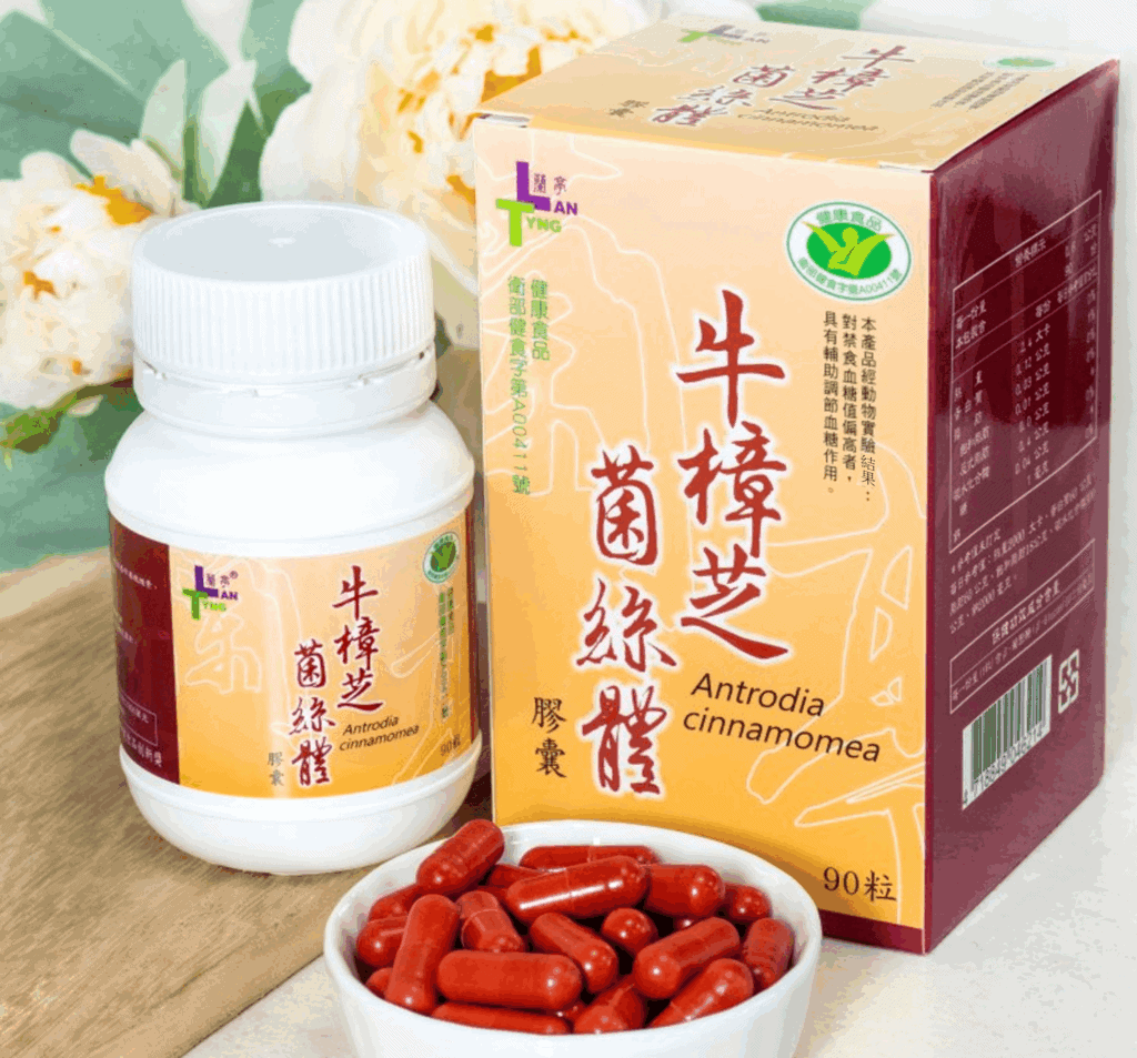 牛樟芝菌絲體 / 圖片來源:蘭亭生物科技