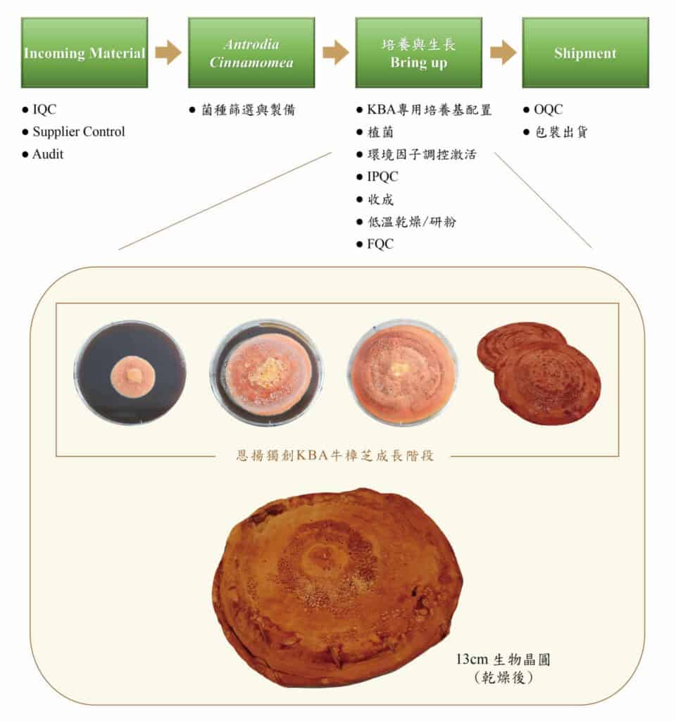 恩揚生技牛樟芝子實體的 KBA 專利技術 / 圖片來源:恩揚生技