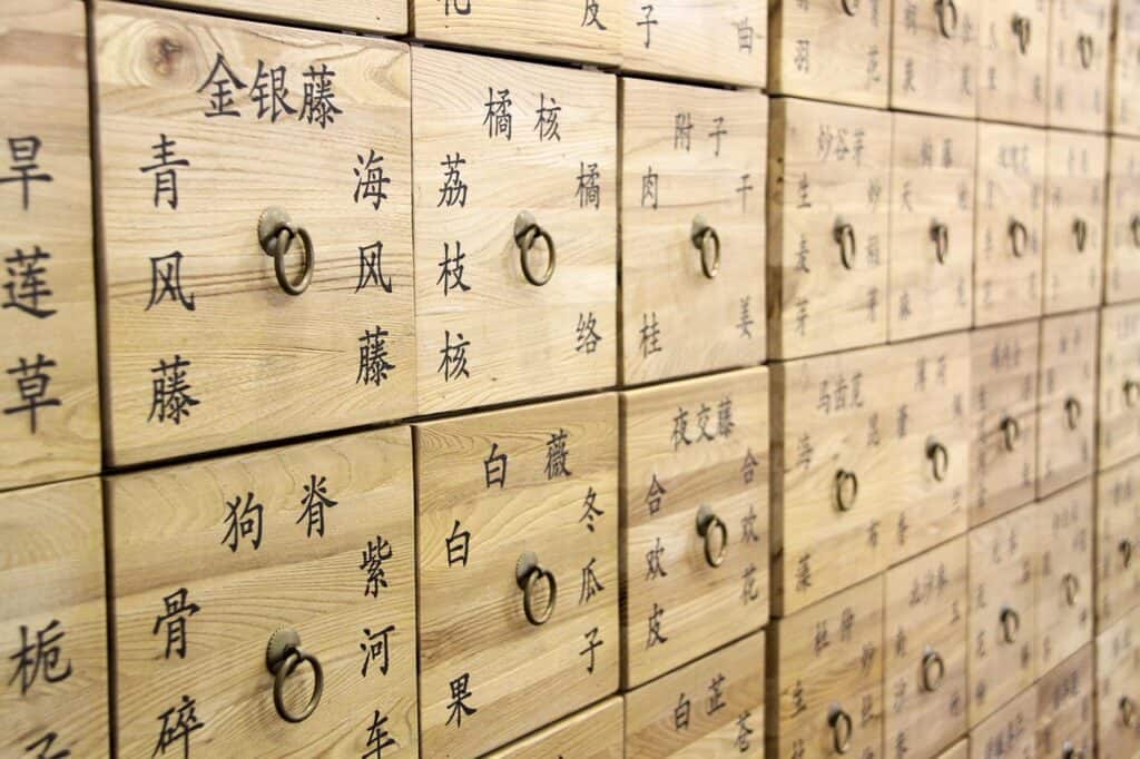 桑黃與牛樟芝各有適合的保養方向，前者以多醣與多酚成分研究為主，後者則以三萜類與肝臟保養研究受到關注；若考慮複方搭配，更應確認實際成分含量、物種標示與檢驗資料，才能依自身需求做出合適選擇。圖片來源：Pixabay